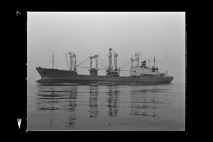 Cottbus (1979), Frachtschiff (reefer), VEB/DSR, Rostock, Bau-Nr. 442