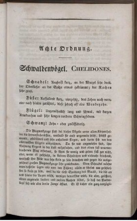 Achte Ordnung. Schwalbenvögel. Chelidones.