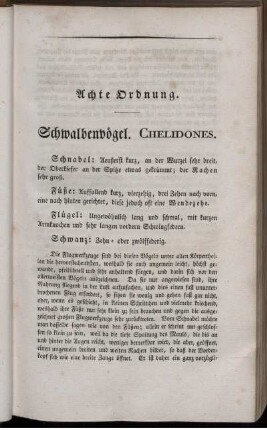 Achte Ordnung. Schwalbenvögel. Chelidones.