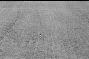 Čičmany. Akt-Pleinair 1980. Abgeerntetes Feld mit einer darüber laufenden jungen Frau