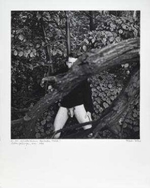 O, du wunderschöner deutscher Wald! Siebengebirge, um 1960. (Junger Mann aus der Eifel, 1960)