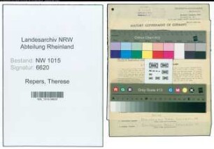 Entnazifizierung Therese Repers , geb. 02.09.1896 (Haendler)