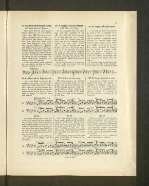 No. 5a. Gemischter Bogenstrich.