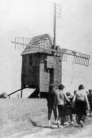 Uebigau-Wahrenbrück-Marxdorf. Bockmühle, aus: Heimatkalender des Kreis Bad Liebenwerda, 1963