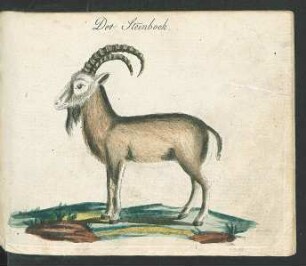 Tafel: Der Steinbock.