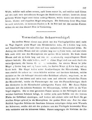 Vermeintliche Sehnervenhügel