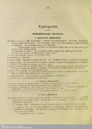 Kryptogamen