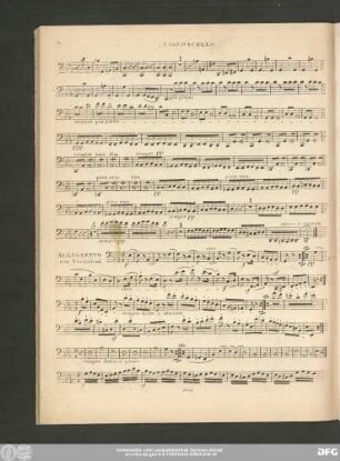 Allegretto con Variazioni