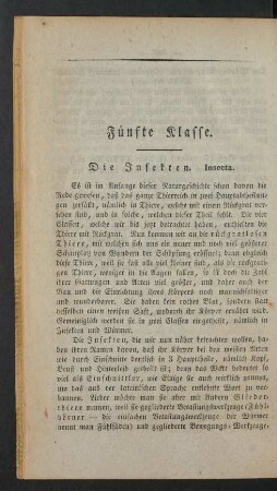 Fuenfte Klasse. Die Insekten. Insecta.
