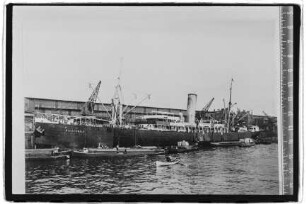 Niederwald (1904), Hapag.- Hamburg-Amerikanische Packetfahrt-Actien-Gesellschaft, Hamburg, Hapag-Lloyd AG, Hamburg