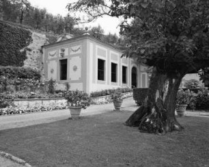 Garten der Villa Medici — Limonaia