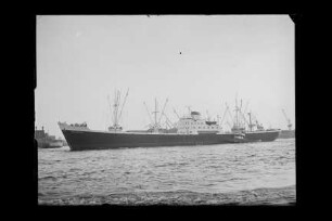 Belgrano (1953), Frachtschiff, HSDG, Hamburg, Bau-Nr. 435