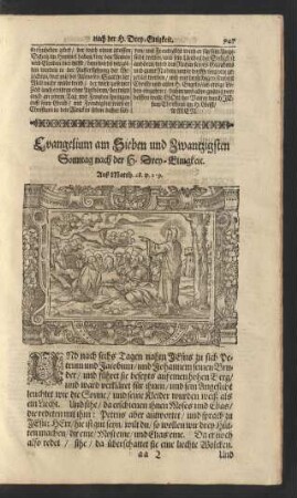 Evangelium am Sieben und Zwantzigsten Sonntag nach der H. Drey-Einigkeit. ...
