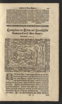 Evangelium am Sieben und Zwantzigsten Sonntag nach der H. Drey-Einigkeit. ...