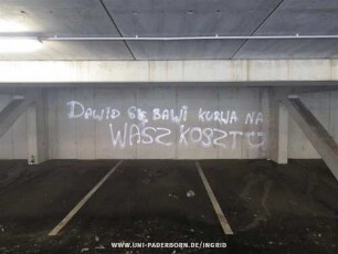 DAWID SiE BAWi KURWA NA WASZ KOSZT