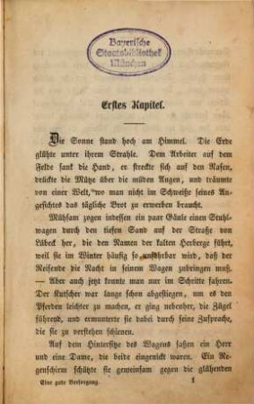 Eine gute Versorgung : Roman von Amely Bölte, 1