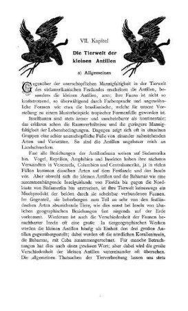 VII. Kapitel. Die Tierwelt der kleinen Antillen