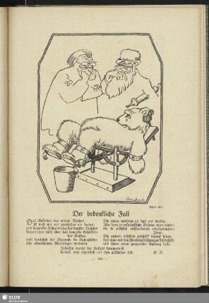Der bedenkliche Fall