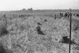Opfergaben für den Feldaltar : Landschaft mit Feldern. Dorfbewohner bringen Opfergaben an einen Feldaltar