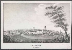 Bretten von der Abendseite