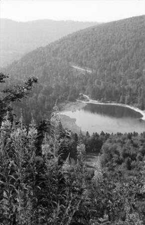 Vogesen: Lac Blanchemer von oben