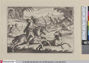 [Jäger fangen Wildhunde; Hunters Catching Wild-Dogs]