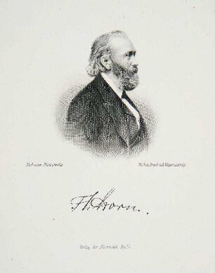 Bildnis von Theodor Storm (1817-1888)