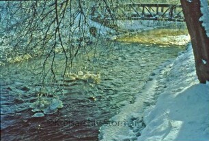 Kurpark: Beste im Winter, dahinter Brücke