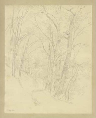 Waldweg