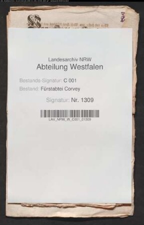 Anstellung eines Provisors an der Apotheke in Höxter