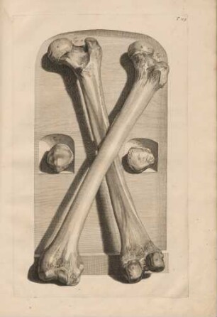 Centesimatertia Tabula
