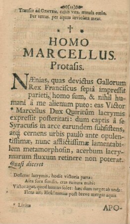 Homo Marcellus