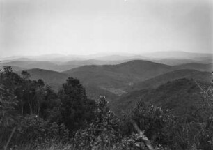 Hügellandschaft : Blick in eine hügelige Landschaft in Brasilien. Im Vordergrund Bäume.