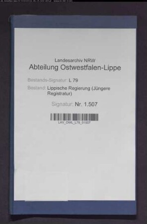 Vorarbeiten zum Gesetz über die Ergänzungssteuer, Gemeindefinanzstatistik
