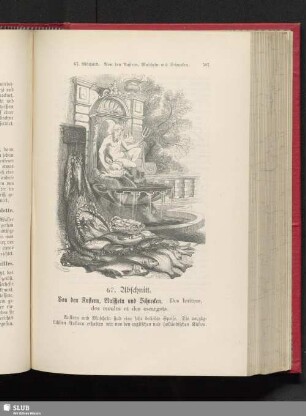 67. Abschnitt. Von den Austern, Muscheln und Schnecken