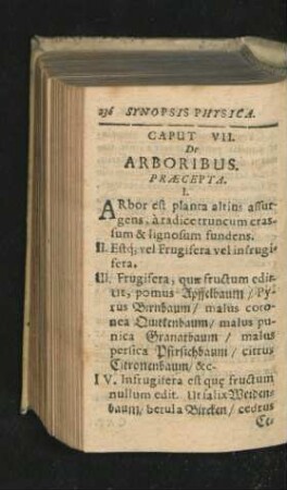 Caput VII. De Arboribus.