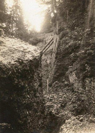Nagelfuhlfelsen vom Rigi