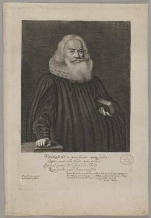 Bildnis des Albrecht Volkartus
