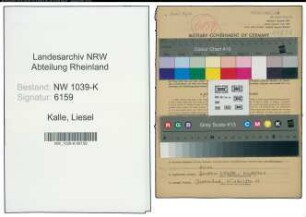 Entnazifizierung Liesel Kalle , geb. 05.08.1921 (Stenotypistin)