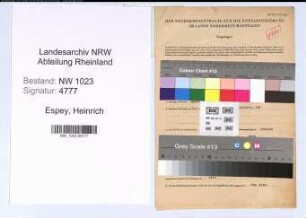 Entnazifizierung Heinrich Espey , geb. 27.11.1896 (Kaufmann)