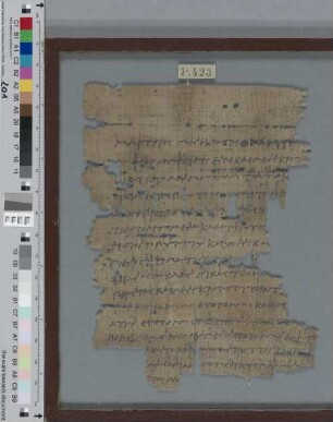 Fragment eines Zenon-Papyrus