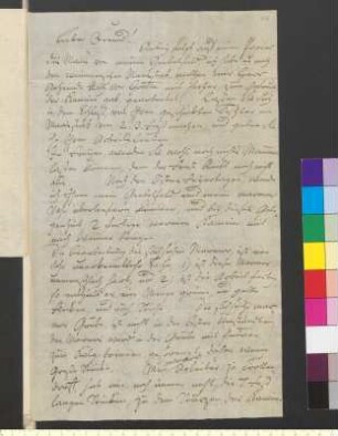 Brief von Doell, Friedrich Wilhelm Eugen an Goethe, Johann Wolfgang von