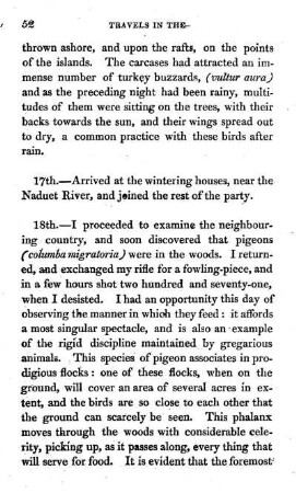 Wood pigeons described