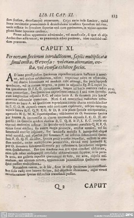 CAPUT XI. Per novam specierum introductionem, saepius mulitplicatas simul erectas, et eversas: vel etiam alternatim, erectas, vel eversas exhibere.