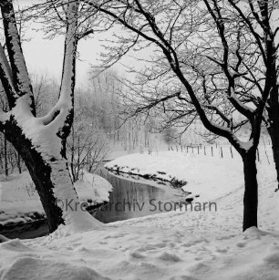 Beste: Kurpark beim Salzteich: vorn Bäume mit Raureif und Schnee: Winter