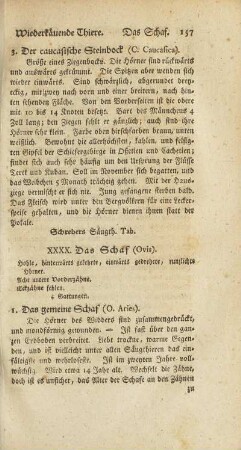 XXXX. Das Schaf