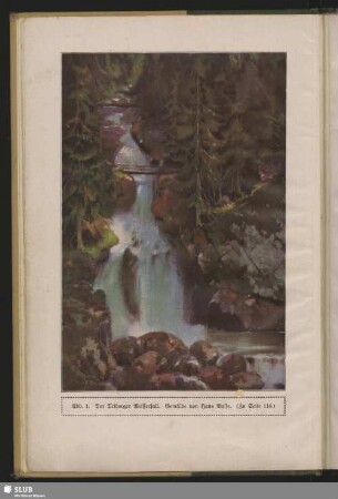 Der Triberger Wasserfall. (Zu Seite 114)