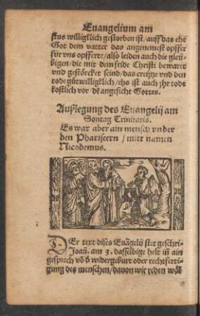 Außlegung des Evangelii am Sontag Trinitatis.