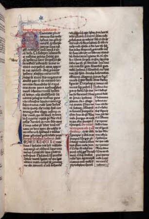 Zierinitiale: R(everendo), Fleuronné, vegetabiles Ornament