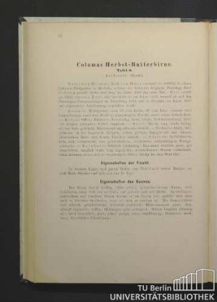 Colomas Herbst-Butterbirne. Tafel 6.